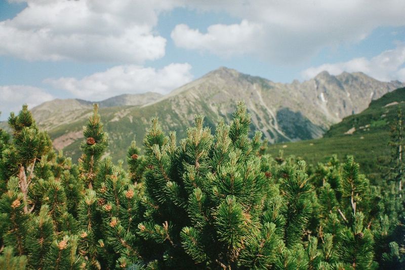 Tatry na weekend. Jak najlepiej spędzić dwa dni w Zakopanem? - galeria