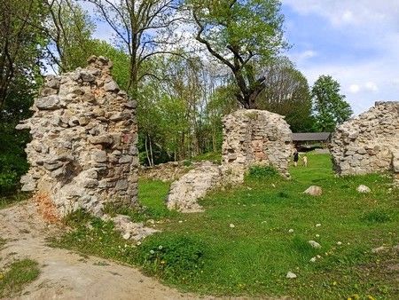 Zamek Rudzki i dom Karola Goduli: Odpoczynek na łonie natury z historią w tle - galeria