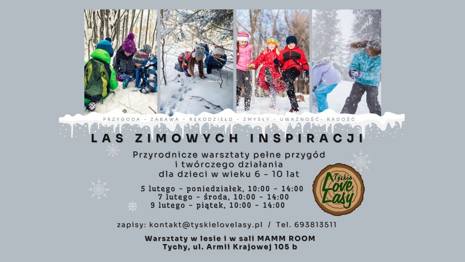 Las Zimowych Inspiracji - warsztaty przyrodnicze dla dzieci - galeria