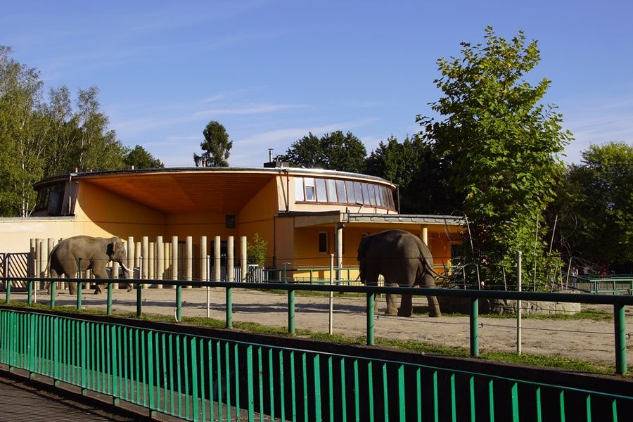 Śląski Ogród Zoologiczny: Jedna z największych atrakcji Parku Ślaskiego - galeria