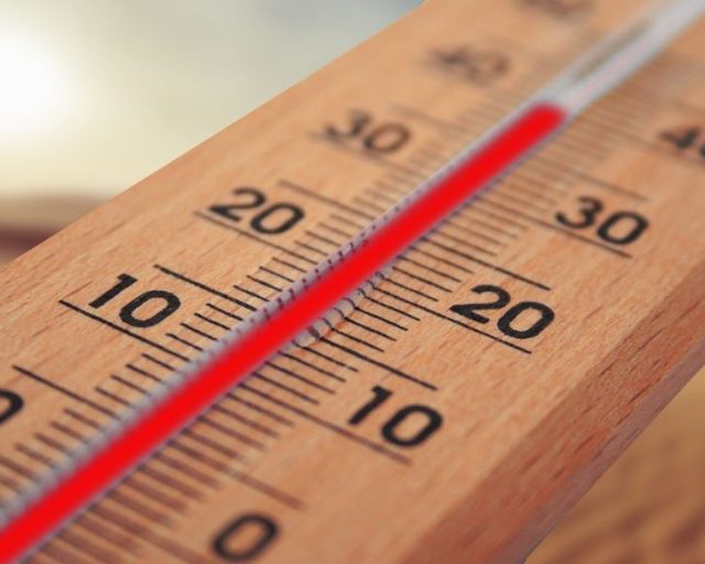 Obowiązki i prawa pracodawcy w trakcie upałów