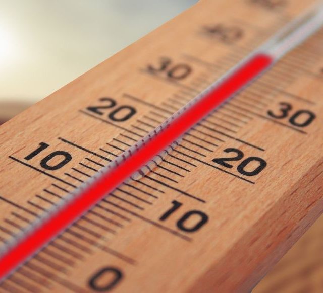 Obowiązki i prawa pracodawcy w trakcie upałów