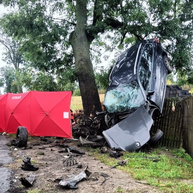Seria tragicznych wypadków na śląskich drogach. Policja apeluje o ostrożność