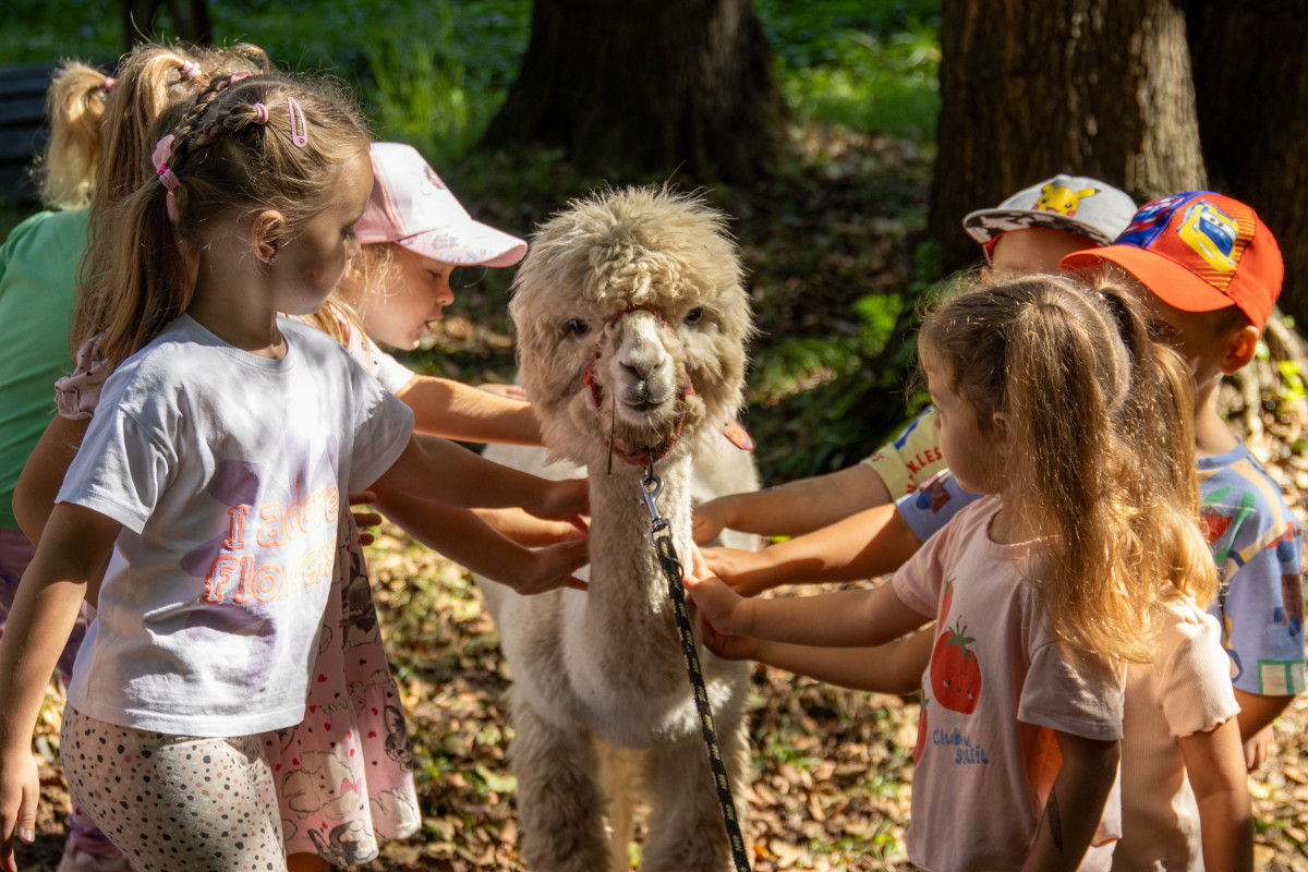 Dzień Integracji w "Trzech Wzgórzach" – jubileusz parku pełen atrakcji