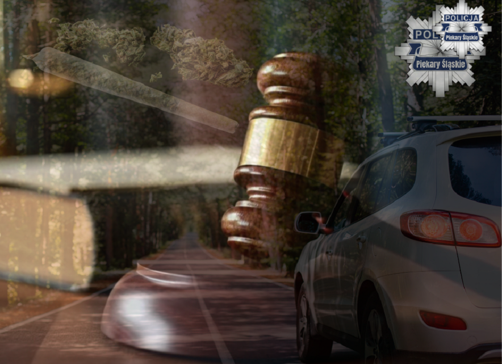 19-latek złamał sądowy zakaz i wpadł z marihuaną