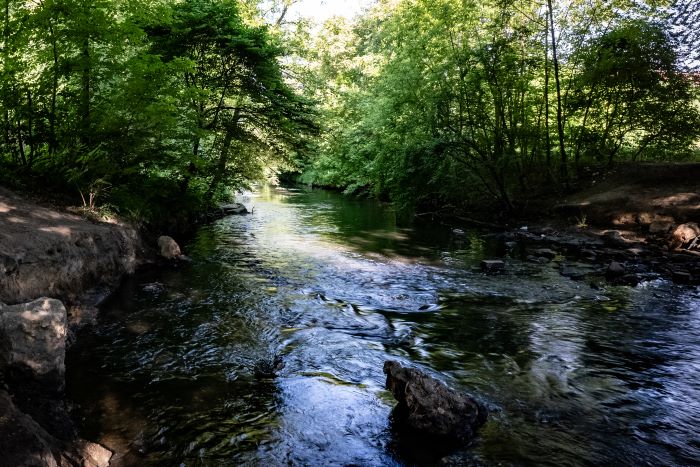 "Klimatyczna Bytomka" – ruszają warsztaty na rzecz zdrowej rzeki