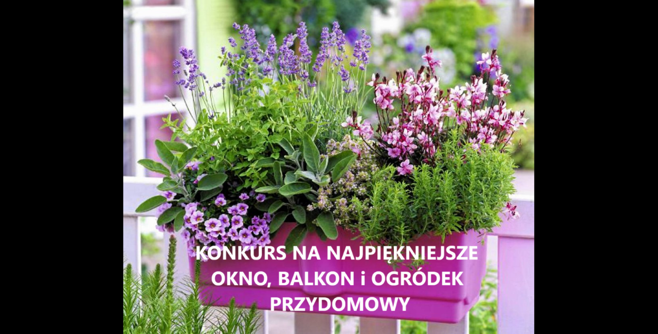 W Bytomiu wystartował konkurs na najładniejsze okno, balkon i ogródek przydomowy