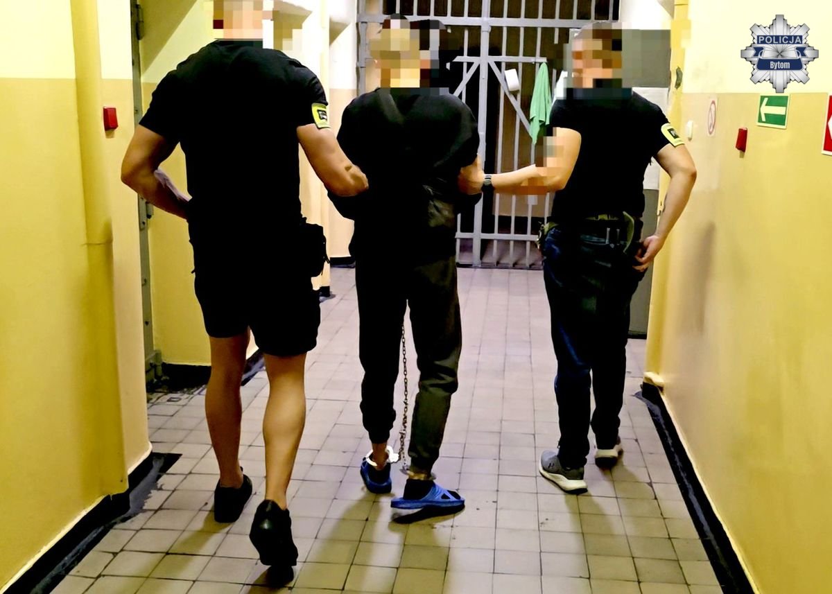 Ubrany w kominiarkę, groził kasjerce i demolował sklep. Agresor w rękach policjantów