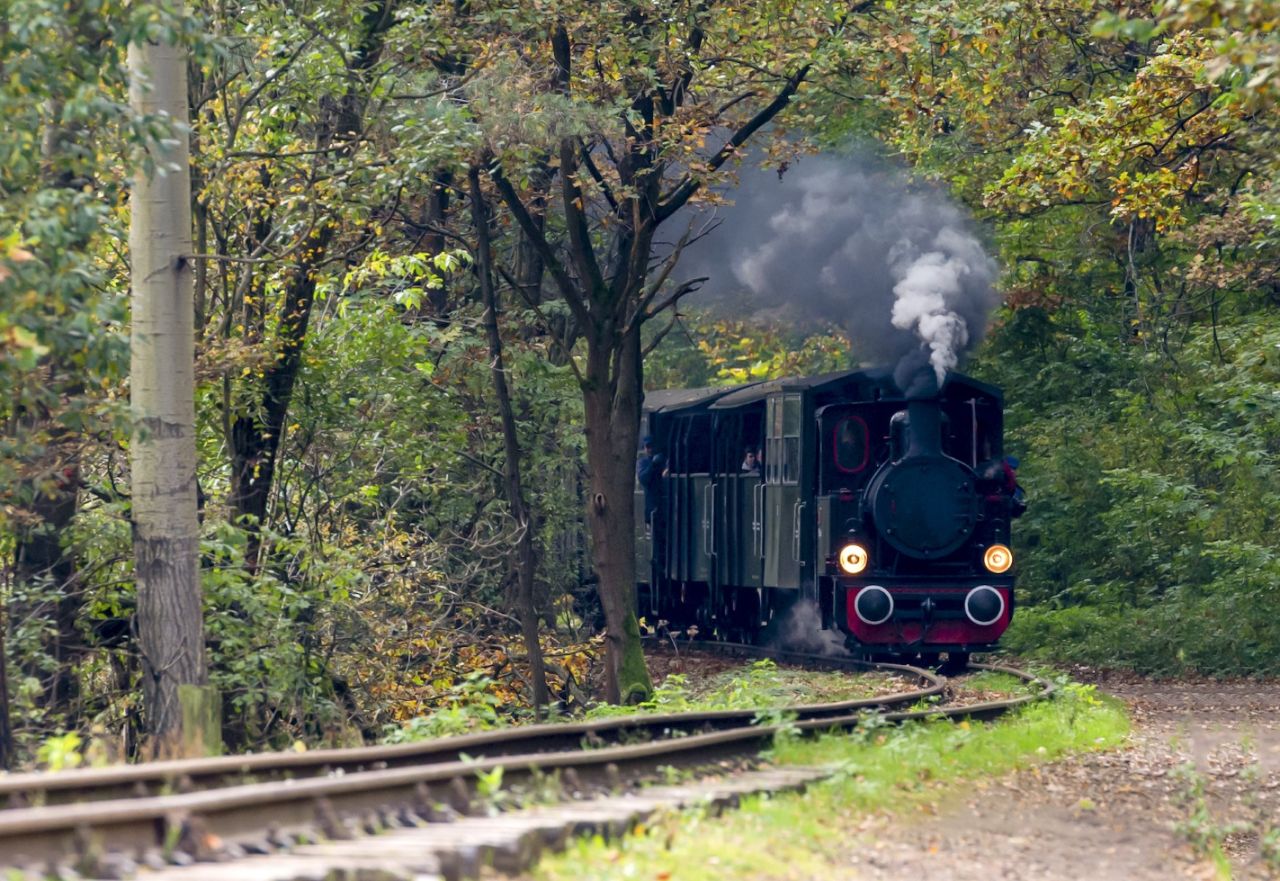 Górnośląskie Koleje Wąskotorowe świętują 75-lecie popularnego parowozu „Ryś”