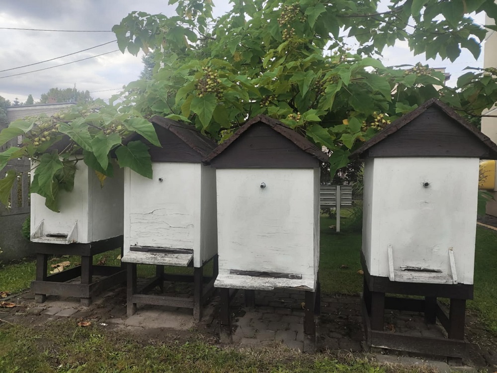 Wystawa „Czas miodem płynący” w Muzeum w Mikołowie