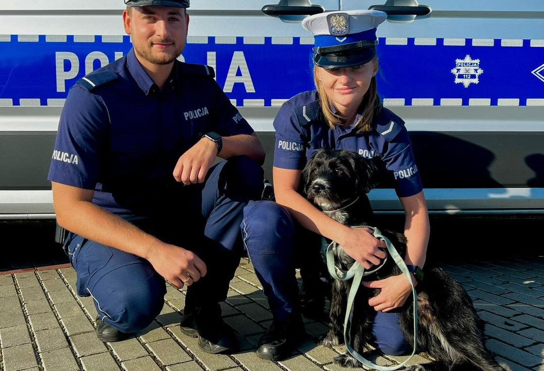 Policjanci uratowali psa z ruchliwej ulicy w Zabrzu!