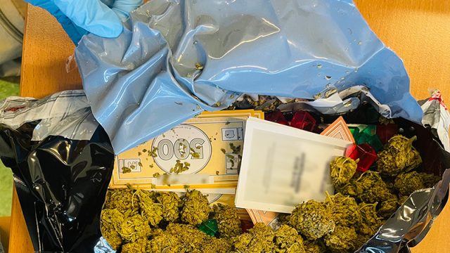 Grasz w zielone? Marihuana w popularnej grze planszowej