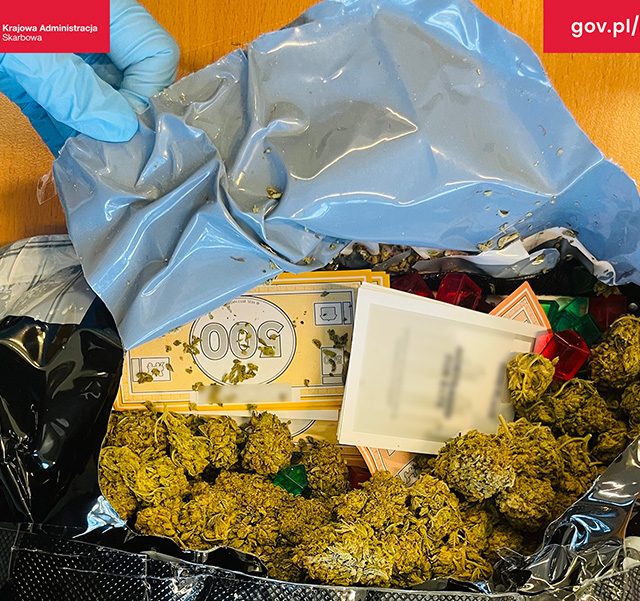 Grasz w zielone? Marihuana w popularnej grze planszowej