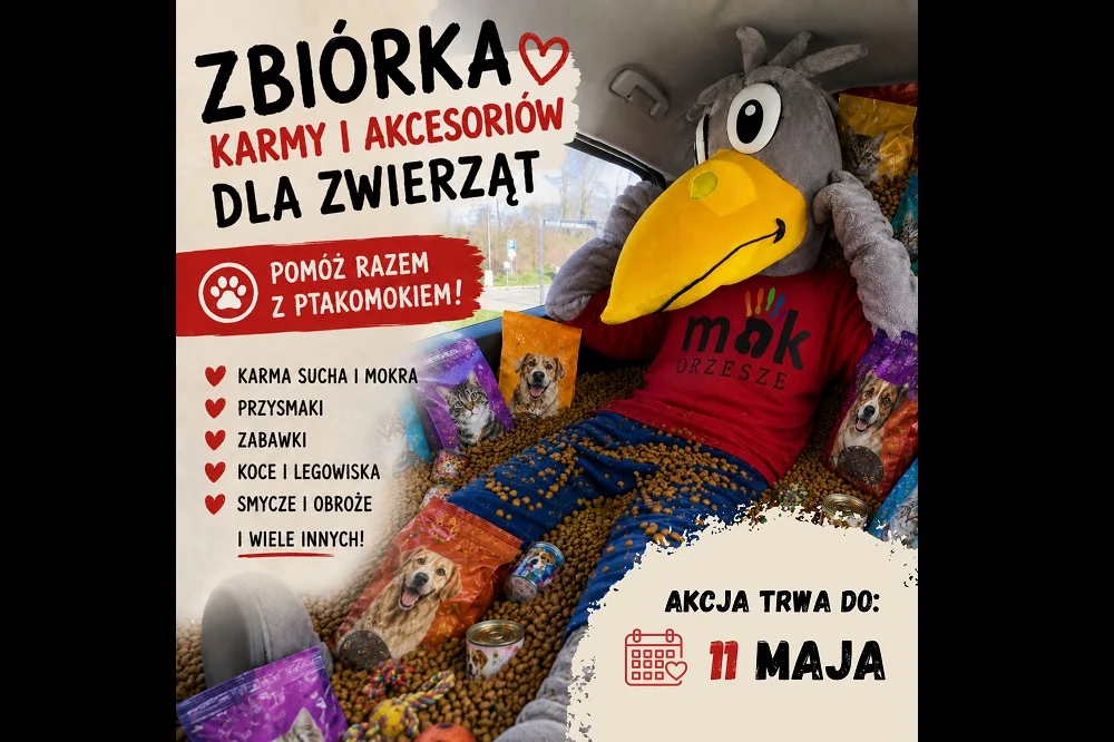 Zbiórka karmy i akcesoriów dla zwierząt w Orzeszu