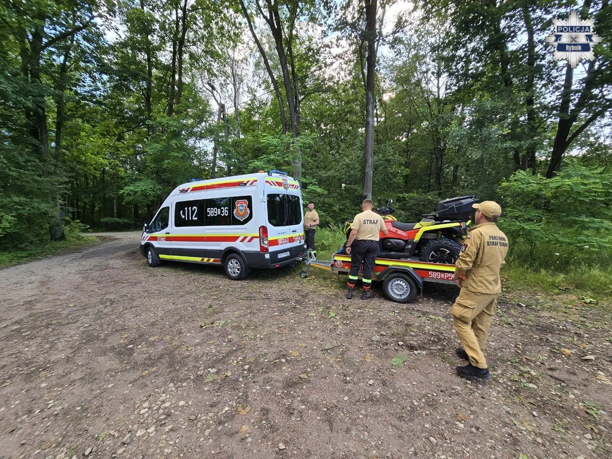 Rybnickie służby sprawdzały gotowość. Ćwiczenia odbyły się w trudnym terenie leśnym /fot. KMP Rybnik